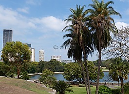 悉尼,澳大利亞,植物園