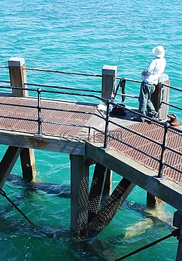 碼頭,漁,海