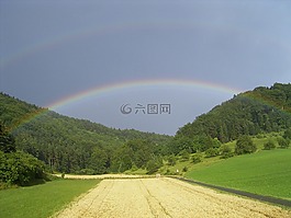 彩虹,字段,森林