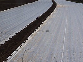 耕地,字段,栽培