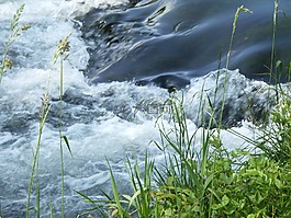 水,草河,景觀