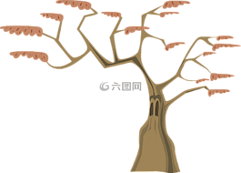 樹,分支機構(gòu),樹干