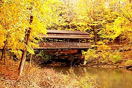 橋,行人天橋,秋
