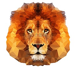 獅子,動物,捕食者