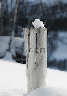 极点,雪,冬天