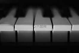 钢琴,键,白