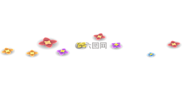 鮮花,花,開(kāi)花