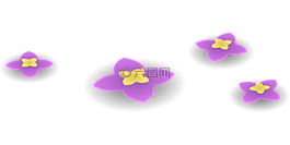 鮮花,紫色,丁香