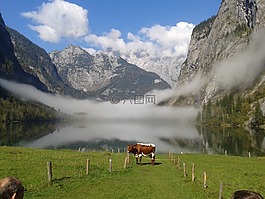 性質(zhì),景觀,阿爾姆湖