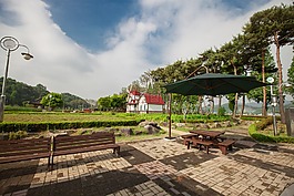 公園,天空,草