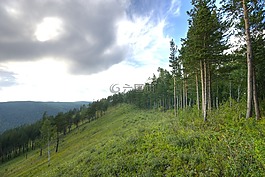 俄羅斯,山,丘陵
