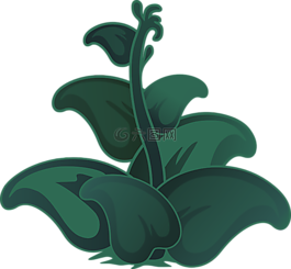 植物,綠色,葉子
