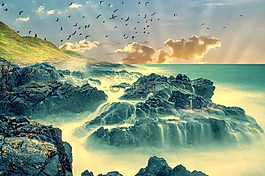 海岸線,海,自然