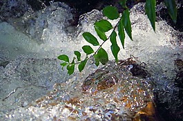 噴霧,河,谷
