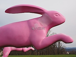 野兔,跳转,小兔子跳