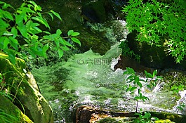 水,陽光,河