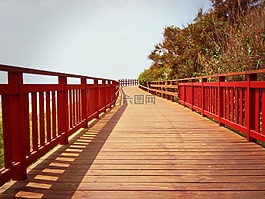 海濱長廊,木,沿海