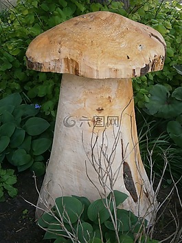 蘑菇,木,雕塑