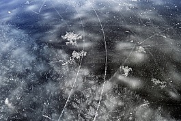 自然,戶外,湖