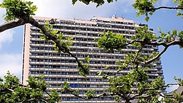 城市,性質(zhì),首頁(yè)