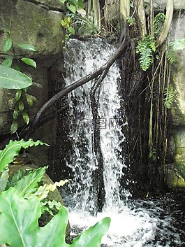 大瀑布,水,自然