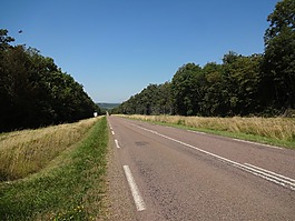 路,場,攀爬