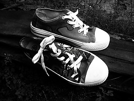 运动鞋,鞋,keds