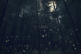 幻想,月亮,夜