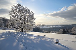 雪,冬天,冷