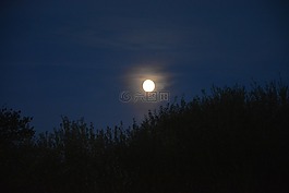 夜晚的景觀,月亮,夜