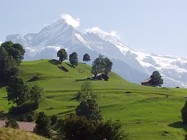 山,公路,瑞士