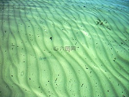 海洋,地板,沙