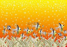 鱼,雪,珊瑚