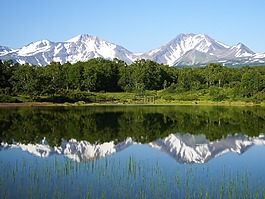 森林湖,森林,山