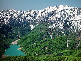 日本,山,雪