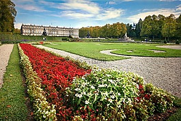花,花園,高峰