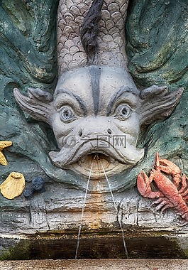 噴泉,魚,癌癥