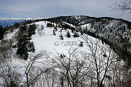 日本,山,雪