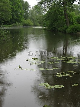 湖,水,景觀