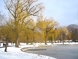 波士頓,馬薩諸塞州,公園