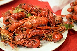 小龍蝦,動物,食品