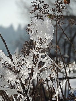 冬天,冰,eiskristalle