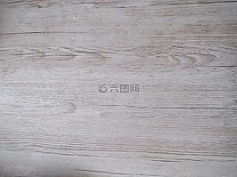 木材,blat,树