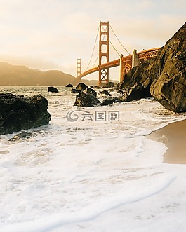 海,海洋,水