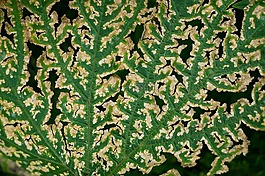 性質(zhì),關(guān)閉,廠