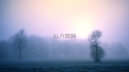 霧,性質,黎明
