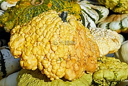 南瓜,冬瓜,秋季
