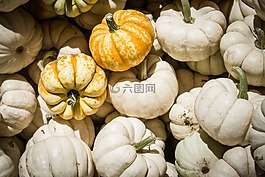萬(wàn)圣節(jié),南瓜,秋