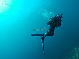 潛水,海,水