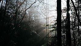 上午,陽光,日出